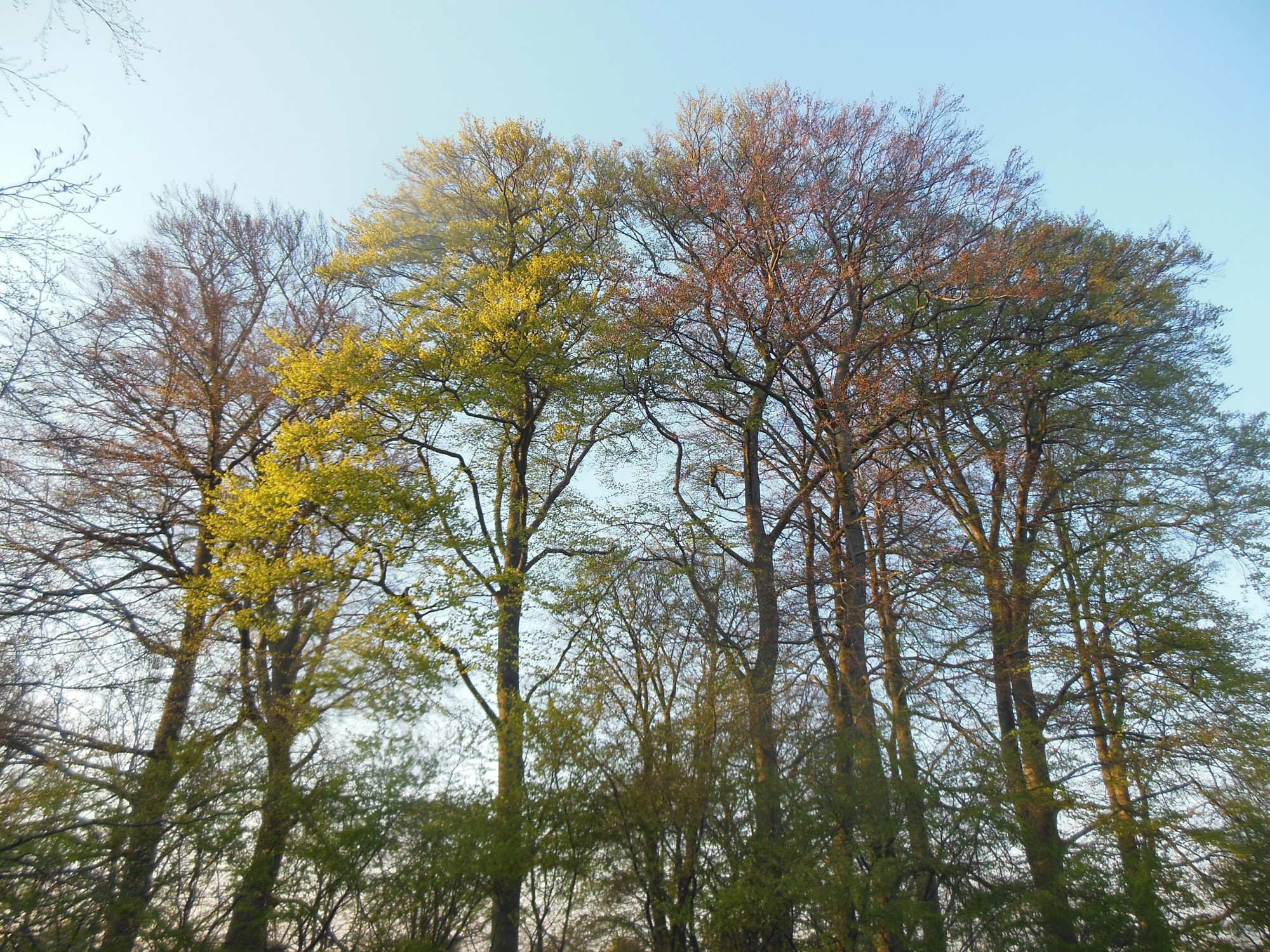Lichtmangel kann zu Stoffwechseländerungen führen, weshalb depressive Verstimmungen oftmals in der dunkleren Winterjahreszeit auftreten, während wir im Frühling wieder munterer werden