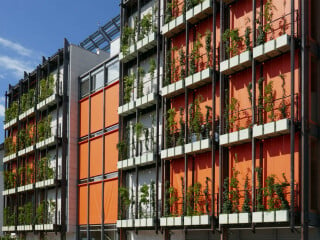 Fassadenbegrünung am Museo delle Scienze in Trient; Architektur: Renzo Piano Building Workshop