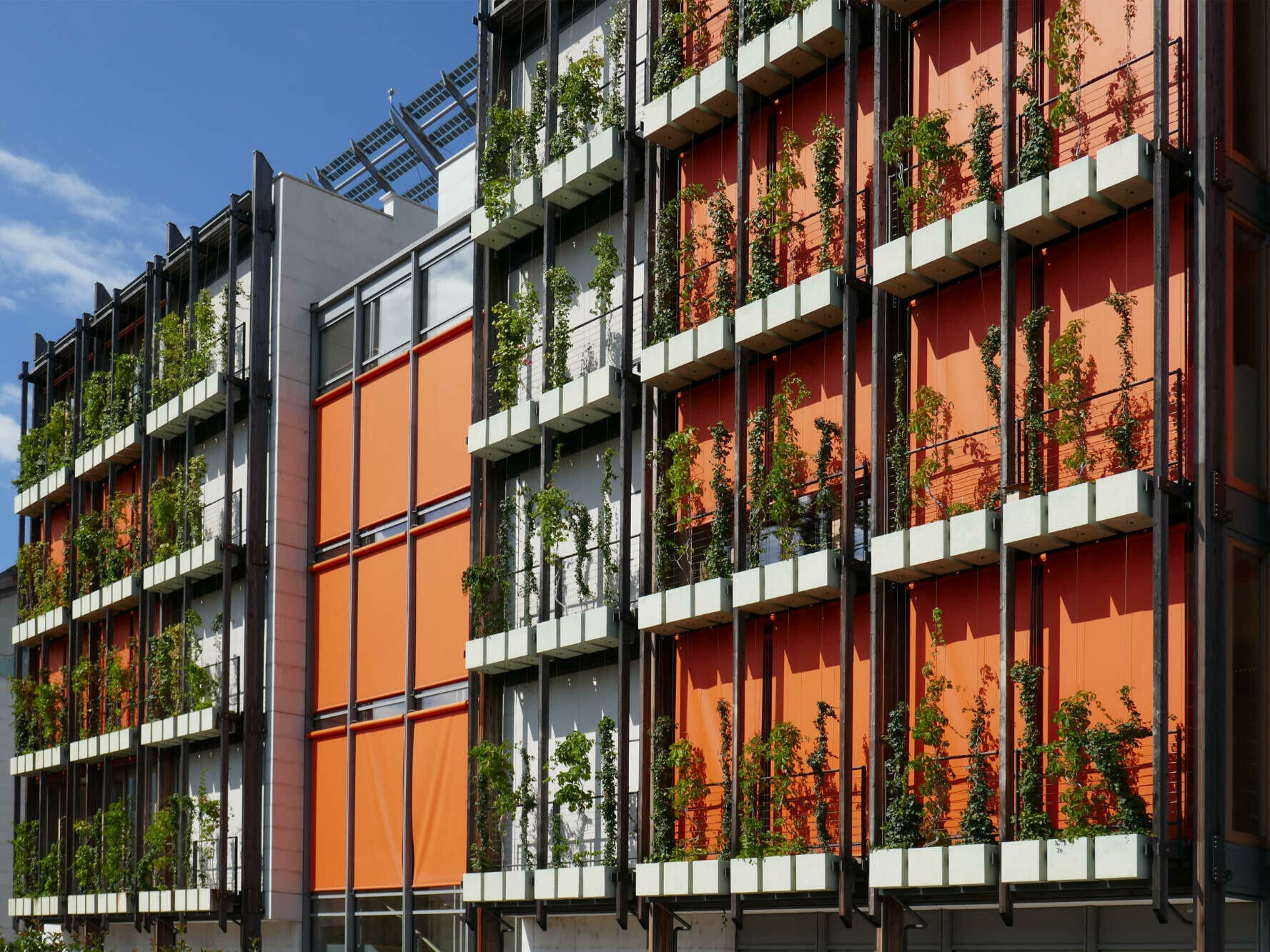 Fassadenbegrünung am Museo delle Scienze in Trient; Architektur: Renzo Piano Building Workshop
