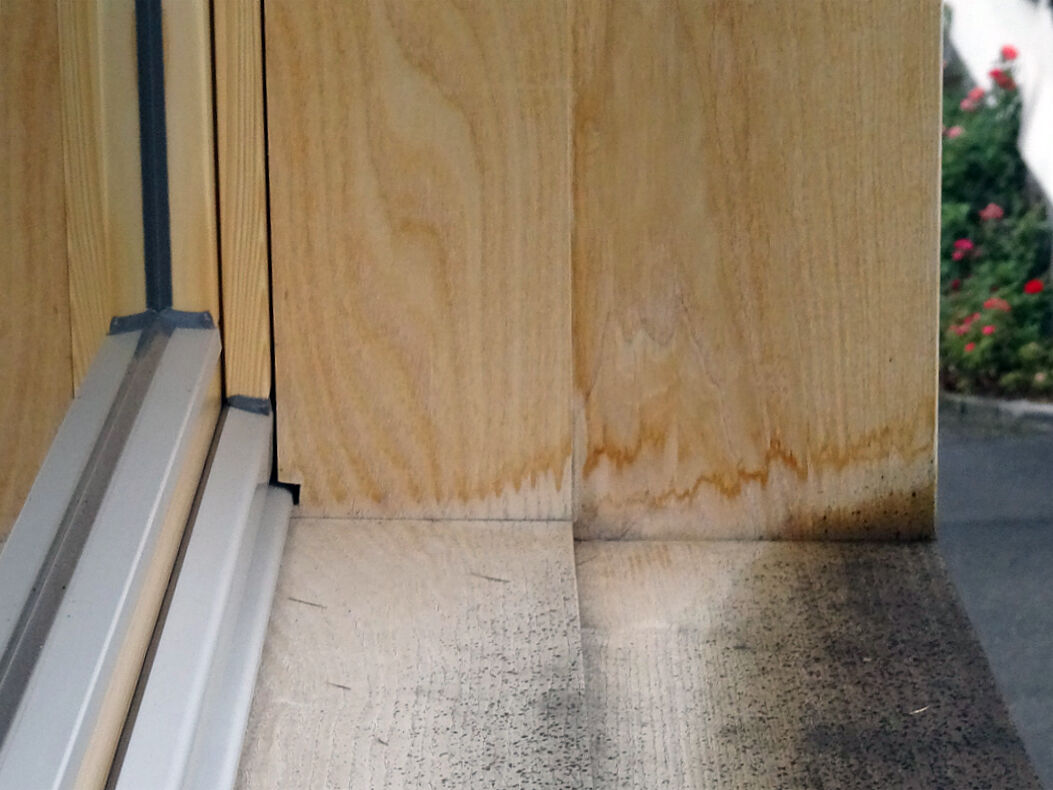 Schimmelpilze sind ein eindeutiger Indikator für eine Holzfeuchte über 20%.