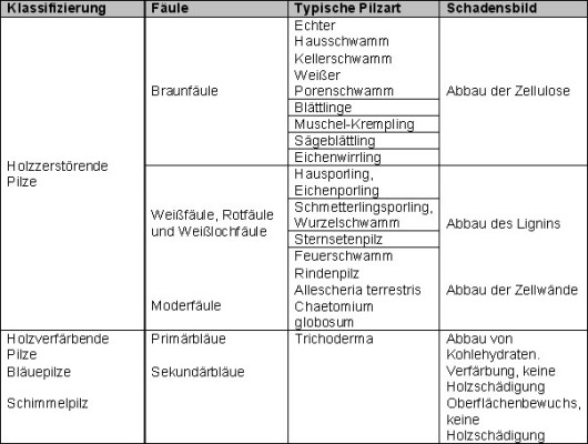 Tabelle Pilzbefall