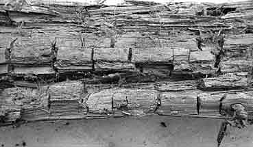 Würfelbruch bei schimmelgeschädigtem Holz