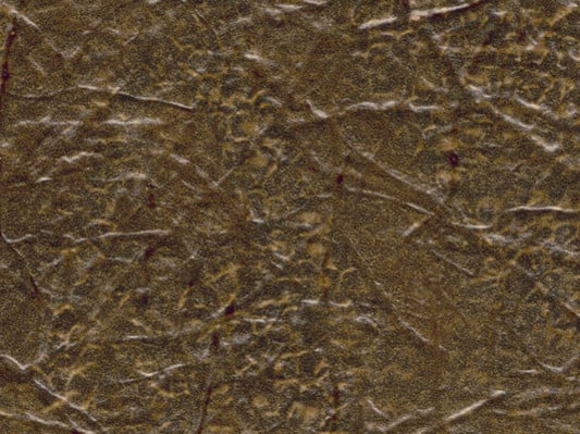 Textur Roots