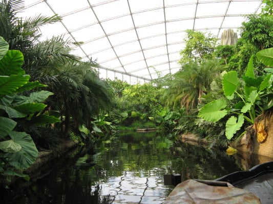 Tropenhaus Gondwanaland in Leipzig 