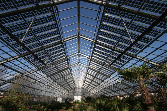 Palmenhaus München: Dachintegrierte PV-Module mit einer Lichtdurchlässigkeit von 35%