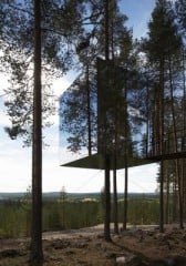Die gläserne Hülle lässt das Baumhaus fast zwischen den Bäumen verschwinden