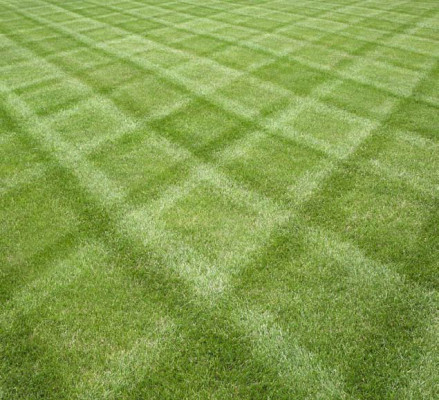 Fensterlüftung mit Einbruchschutz | Sicherheitstechnik | News/Produkte