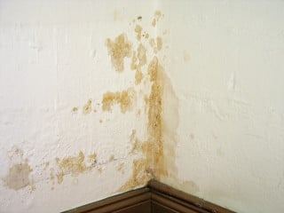Unansehnliche Flecken an der Innenseite einer Außenwand