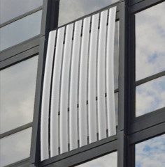 Die Paradisvogelblume aus Südafrika