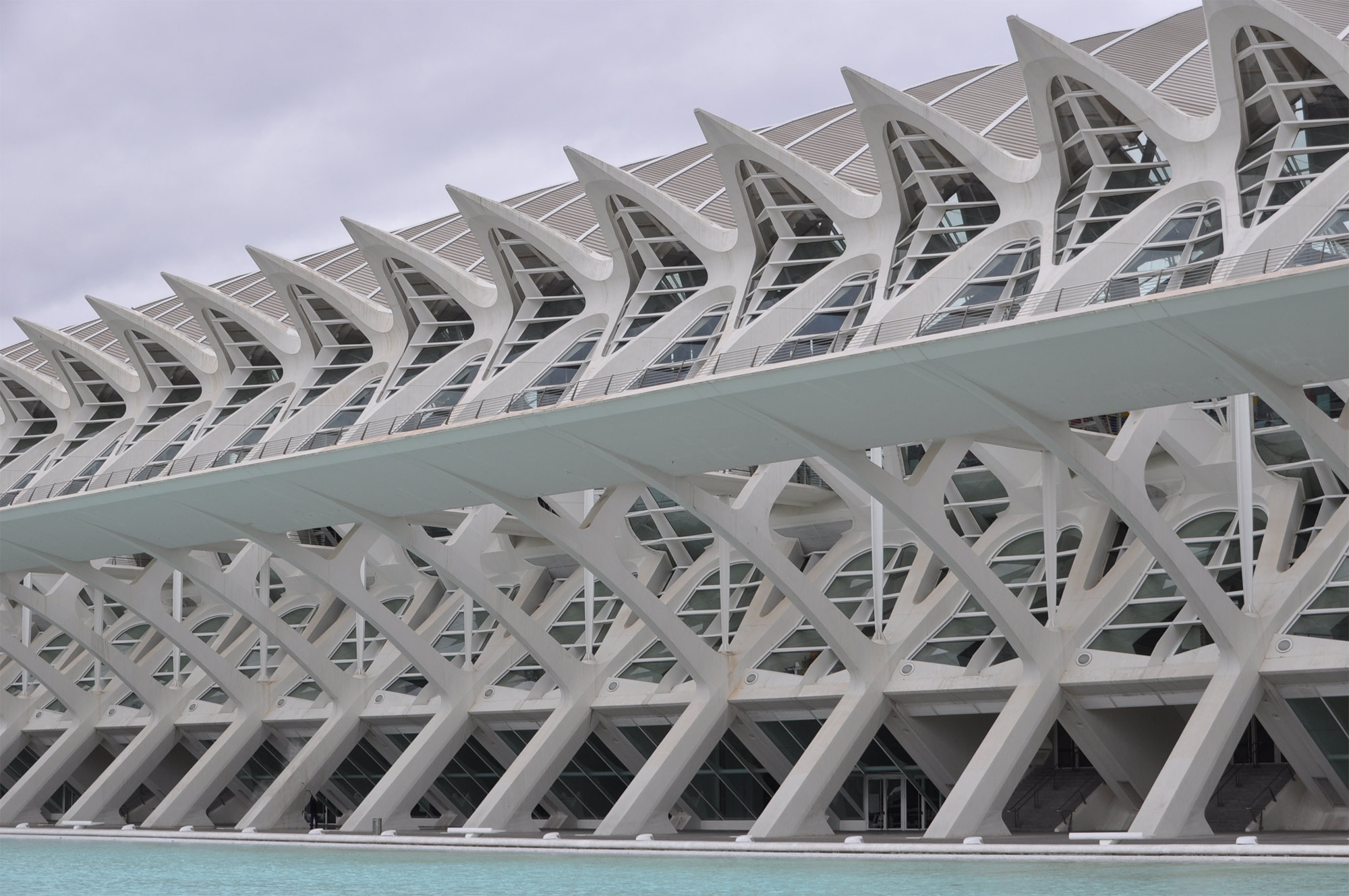Die Betonkonstruktion des Wissenschaftsmuseums Príncipe Felipe in Valencia erinnert an das Rückgrat eines Tieres, Architekten: Santiago Calatrava, Zürich