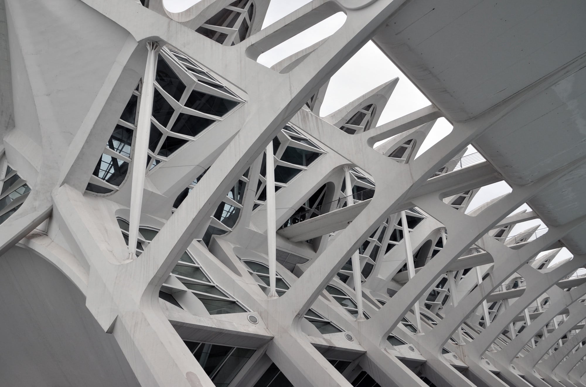 Stahlbetonstützen des Wissenschaftsmuseums Príncipe Felipe in Valencia, Architekten: Santiago Calatrava