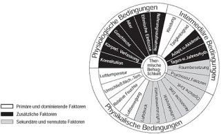 Thermische Behaglichkeit