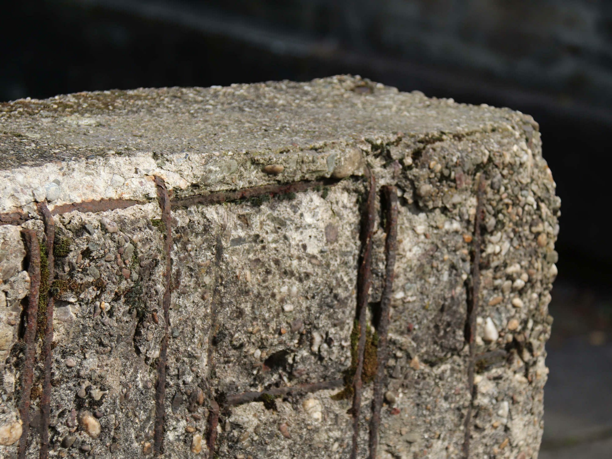 Depassivierung und Karbonatisierung sind zwei chemische Prozesse, die zu starken Schäden an Stahlbewehurngen und am Beton führen.