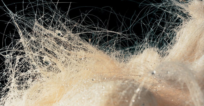 Fasern Garne Und Vliese Fur Textile Bodenbelage Boden Materialien Fasern Baunetz Wissen