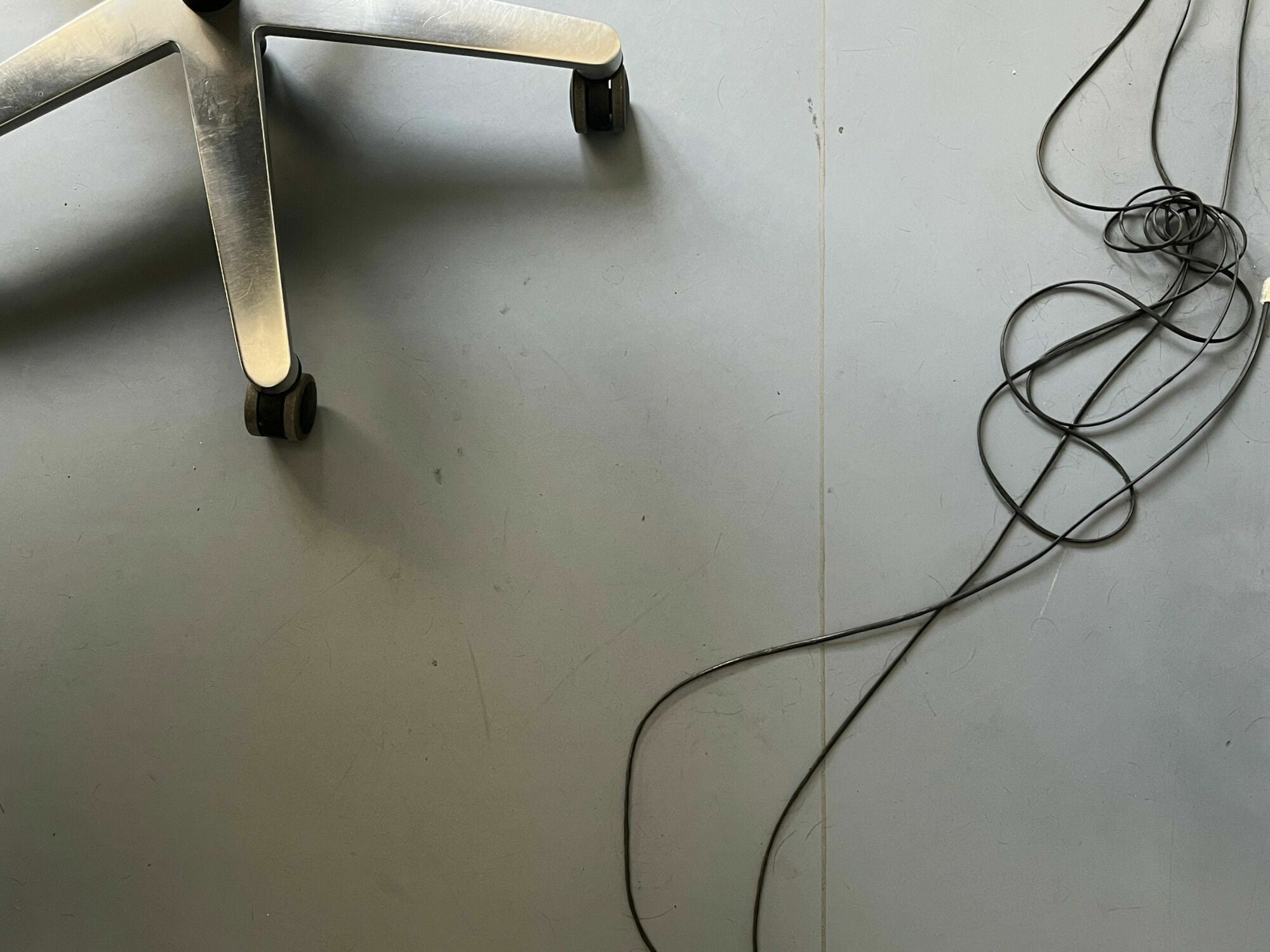 Linoleum vereint zahlreiche positive Eigenschaften und bleibt mit seiner ökologischen Bilanz eine verlässliche Alternative zu synthetischen Belägen.