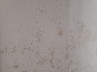 Feuchte Wand