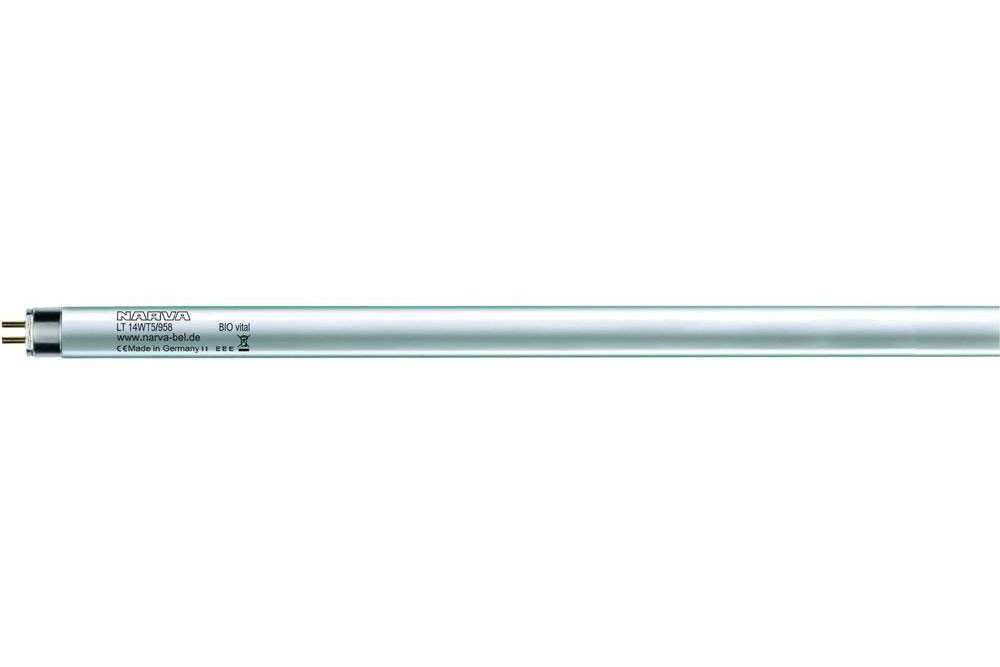 Leuchtstofflampen kommen überwiegend als lange, schmale Röhren zum Einsatz