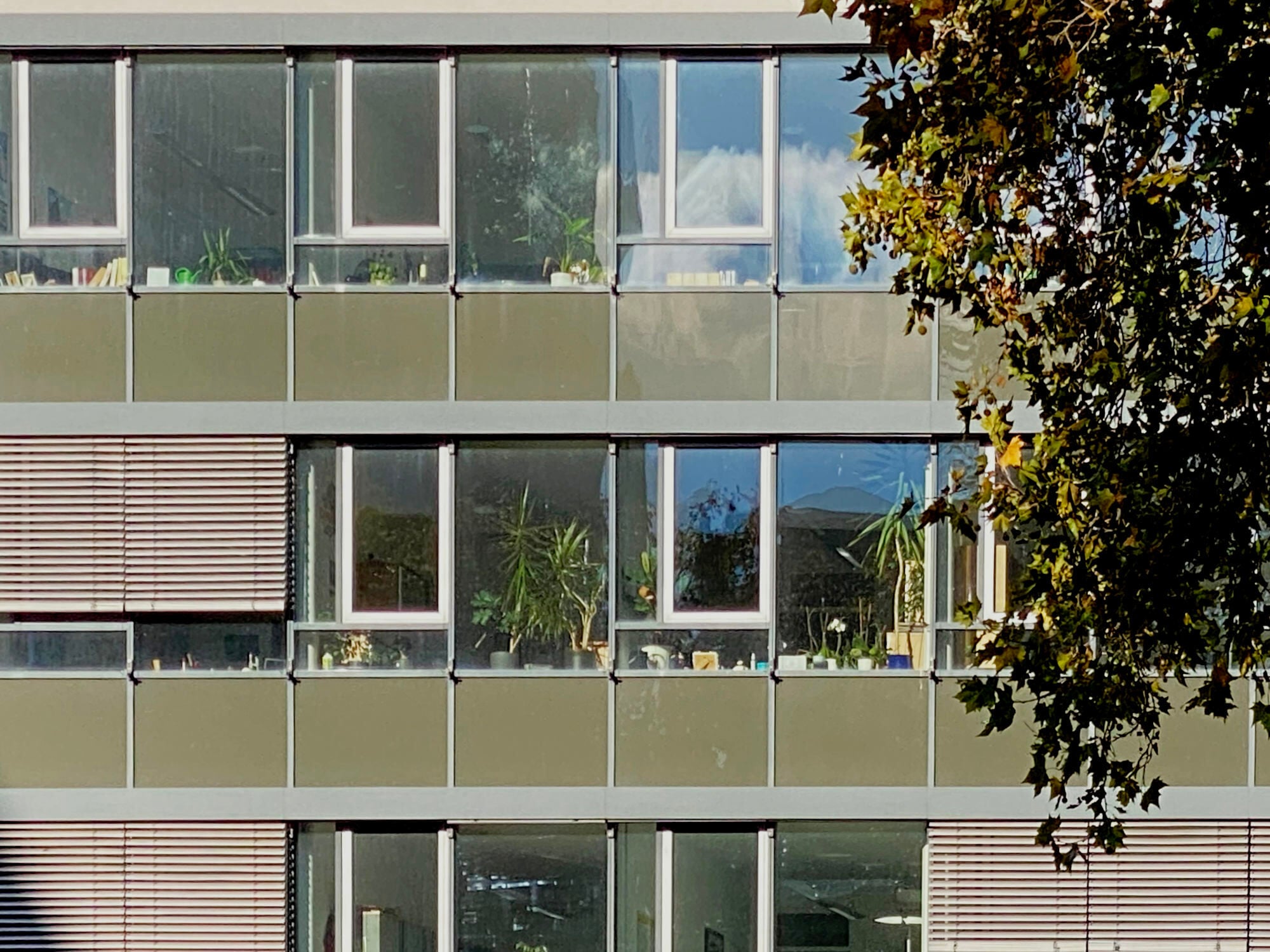 Der Fensterflächenanteil, die Art der Verglasung, Sonnenschutz und thermisch aktivierbare Bauteile – all diese Faktoren tragen dazu bei, dass Innenräume auch im Hochsommer behaglich sind.