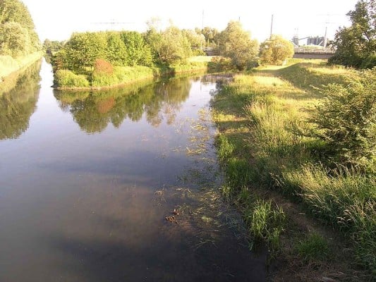 Beispiel: Der schwäbische Fluss Alb als Vorfluter einer Kläranlage