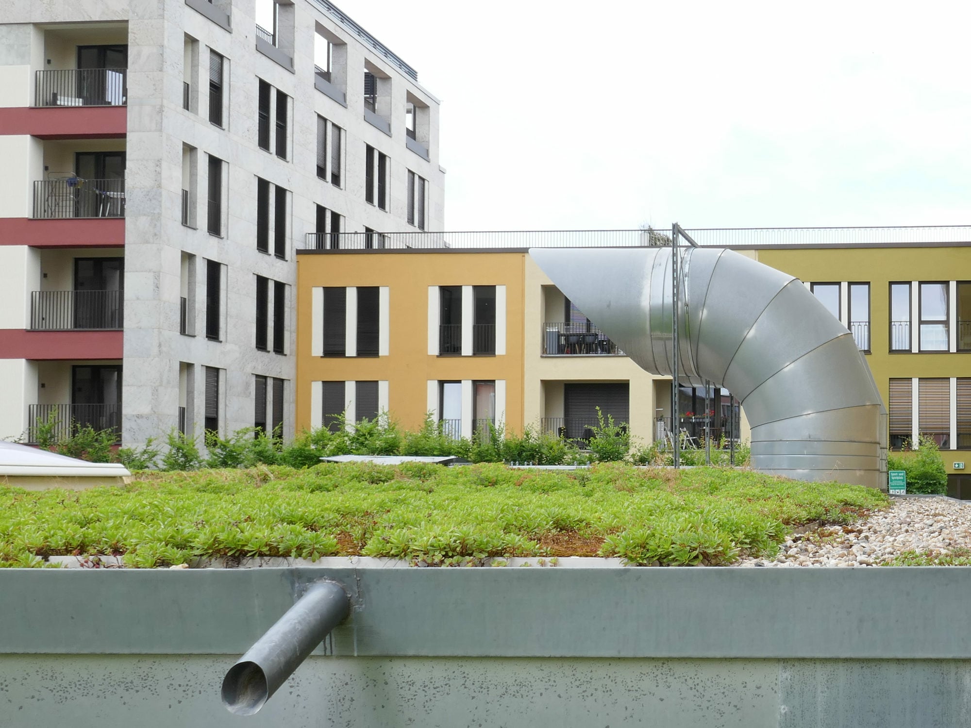 Gründächer verzögern den Abfluss des Regenwassers, da sie eine bestimmte Menge an Feuchtigkeit aufnehmen.