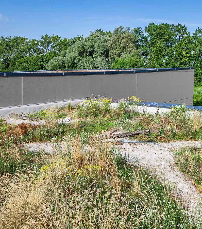 Gründach-Aufbau für mehr Biodiversität: Das Flächengewicht des gesamten Aufbaus variiert zwischen 100 bis 230 kg/m² (im Mittel: 165 m²).