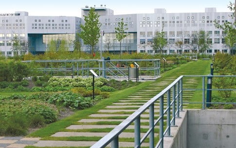 Regelschichtenaufbau Bei Dachbegrunungen Flachdach Grundacher Baunetz Wissen