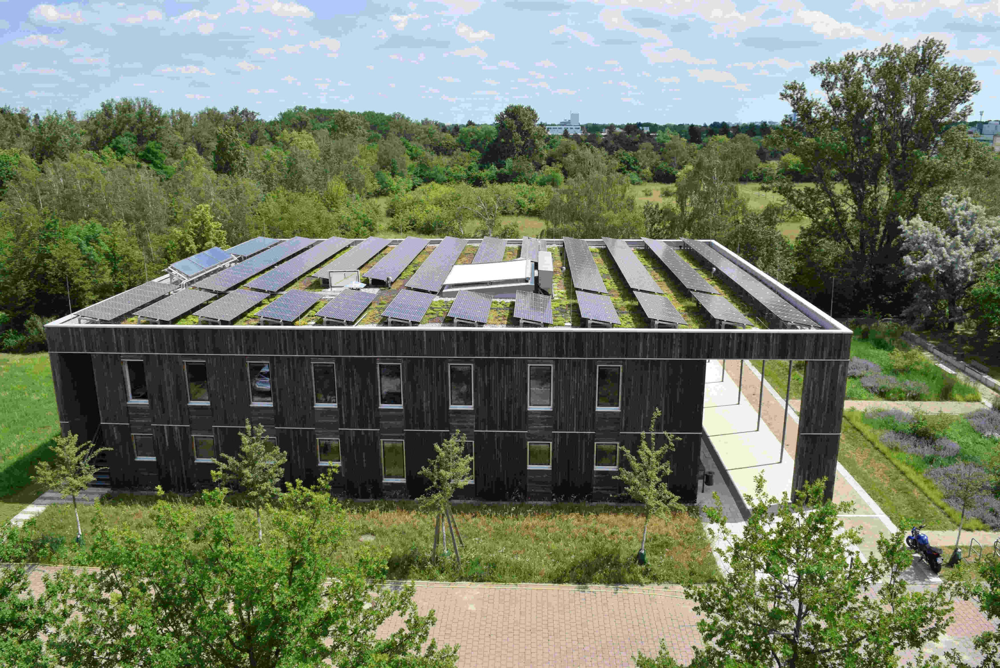 Bei fachgerechter Planung und Ausführung sicher und nachhaltig: das Solar-Gründach