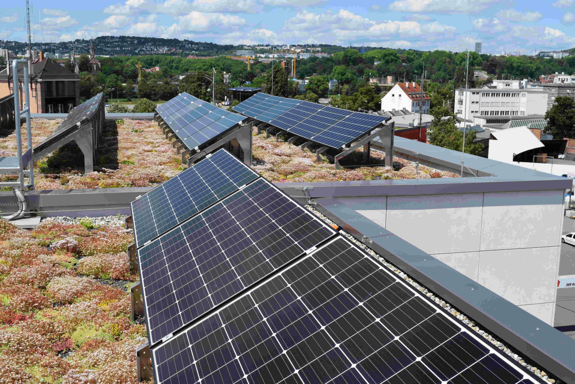 Bei fachgerechter Planung und Ausführung sicher und nachhaltig: das Solar-Gründach