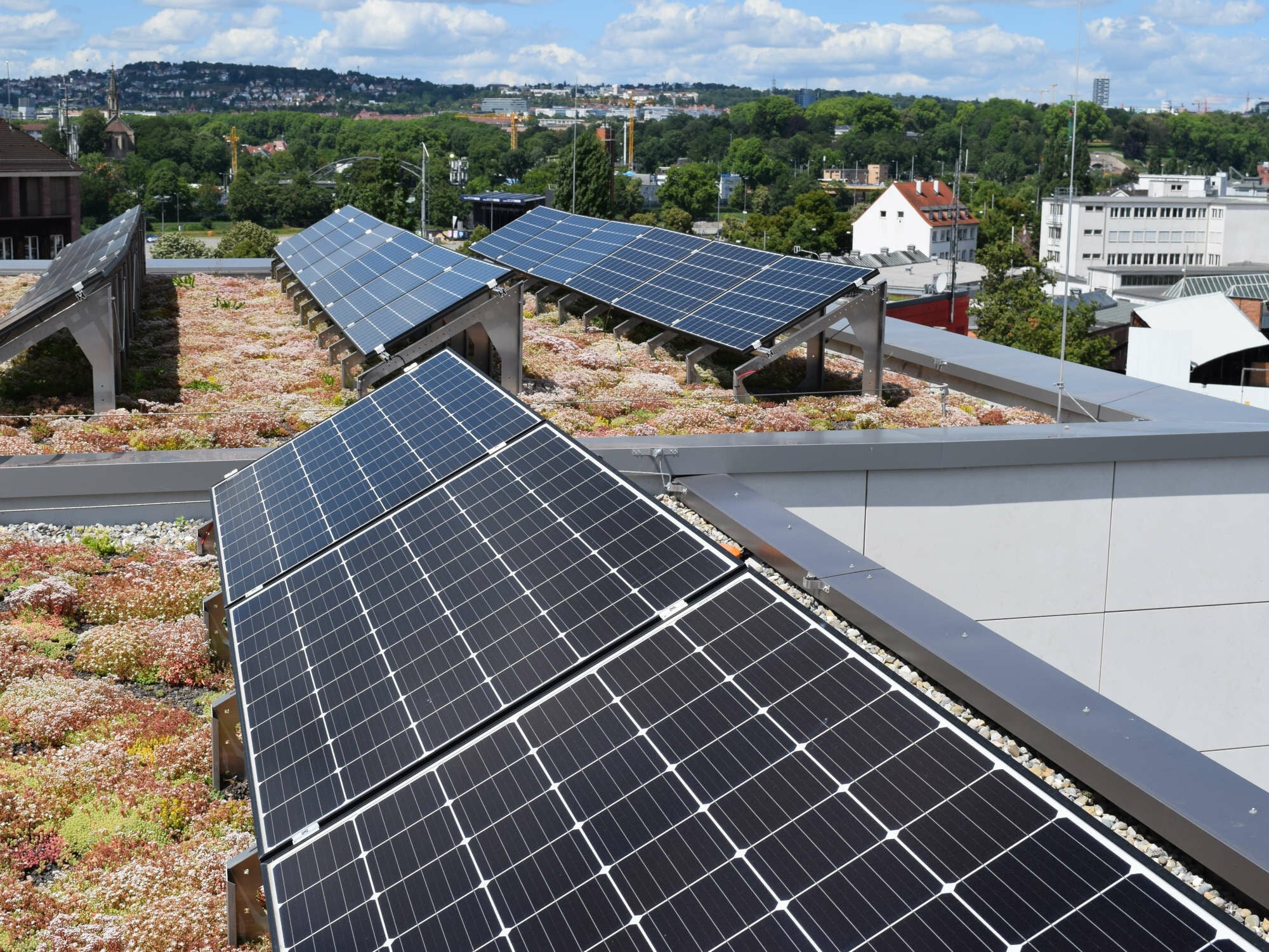 Neue Arbeitshilfen zum Thema Solar-Gründach: „Fachinformation” und „Fokus“