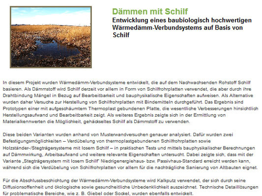 Projekt: Dämmen mit Schilf