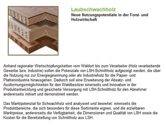Projekt: Neue Nutzungspotentiale in der Forst- und Holzwirtschaft