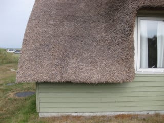 Reetgedecktes Ferienhaus 