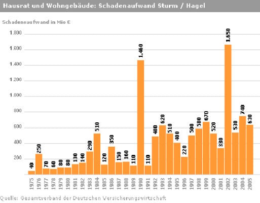 Schäden beim geneigten Dach