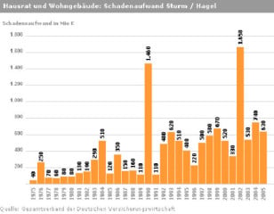 Schäden beim geneigten Dach