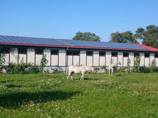 Geneigte Dächer sind in der Regel für die Anbringung von Photovoltaikelementen geeignet. 