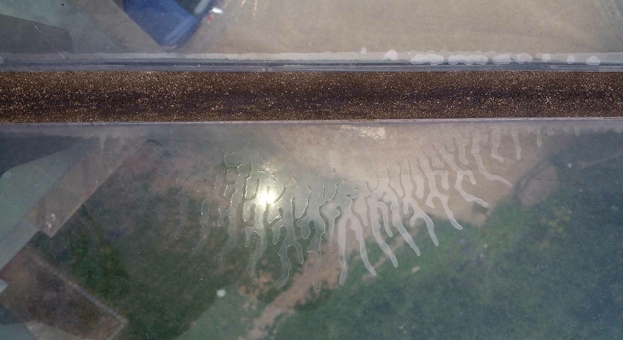 Blasenbildung/Delamination an einem Verbundsicherheitsglas