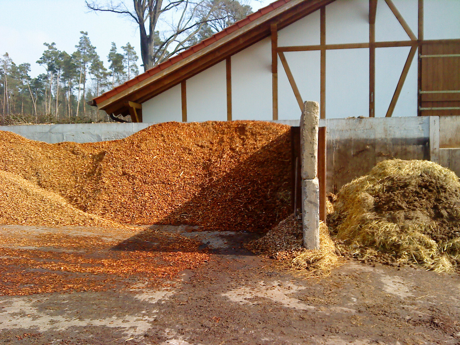 Abfälle pflanzlicher und tierischer Herkunft bilden das Grundmaterial für die Erzeugung von Biogas.