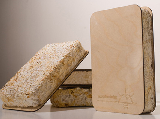 Sandwichpaneele (Structural Insulation Panels - SIPs)