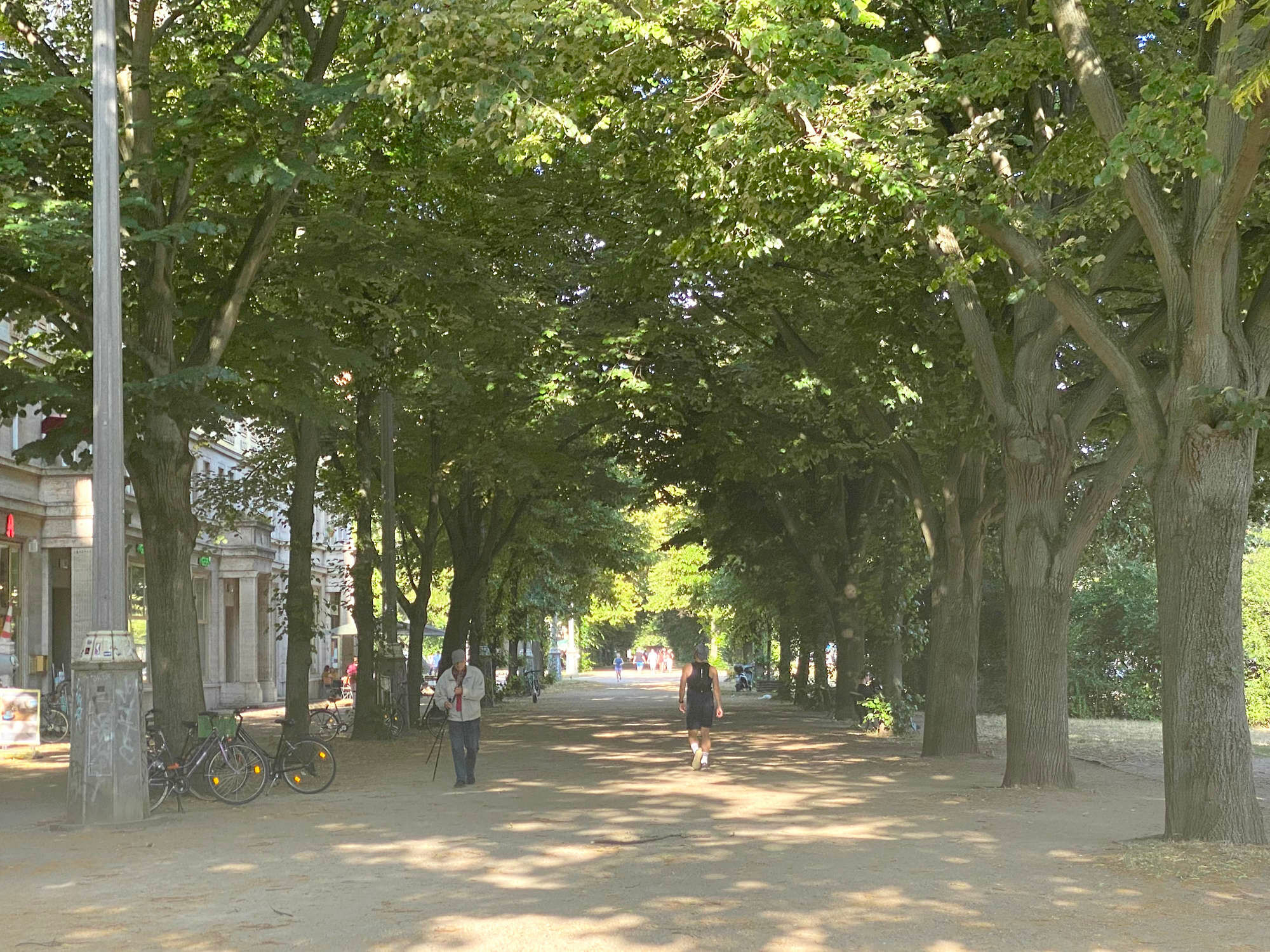 Im öffentlichen Raum spenden Bäume Schatten, wie hier an der Karl-Marx-Allee in Berlin.