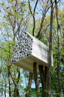 Ungewöhnlich an diesem Vogelhaus ist auch die Farbgestaltung