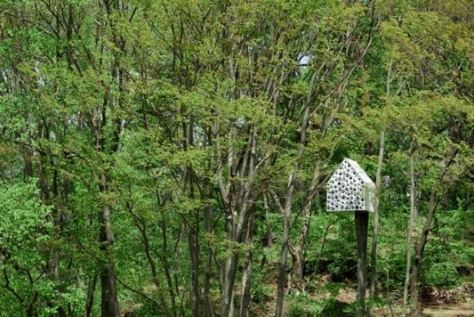 Das Bird-Appartment befindet sich in einem Wald auf der japanischen Hauptinsel Honshū