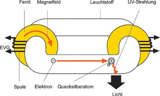 Funktionsprinzip der ringförmigen Lampen