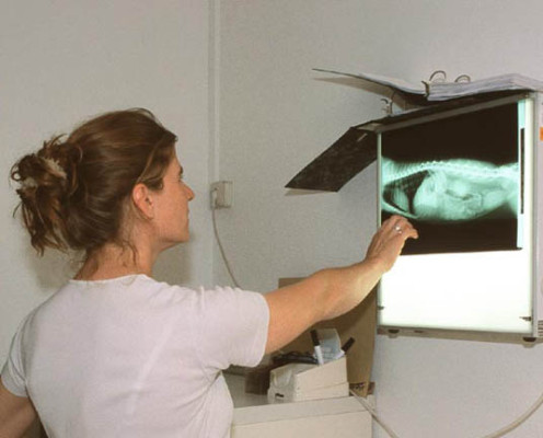 Leuchtkasten zur Röntgenbild-Kontrolle