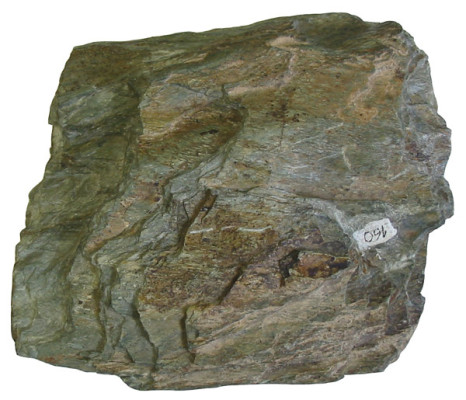 Chloritschiefer