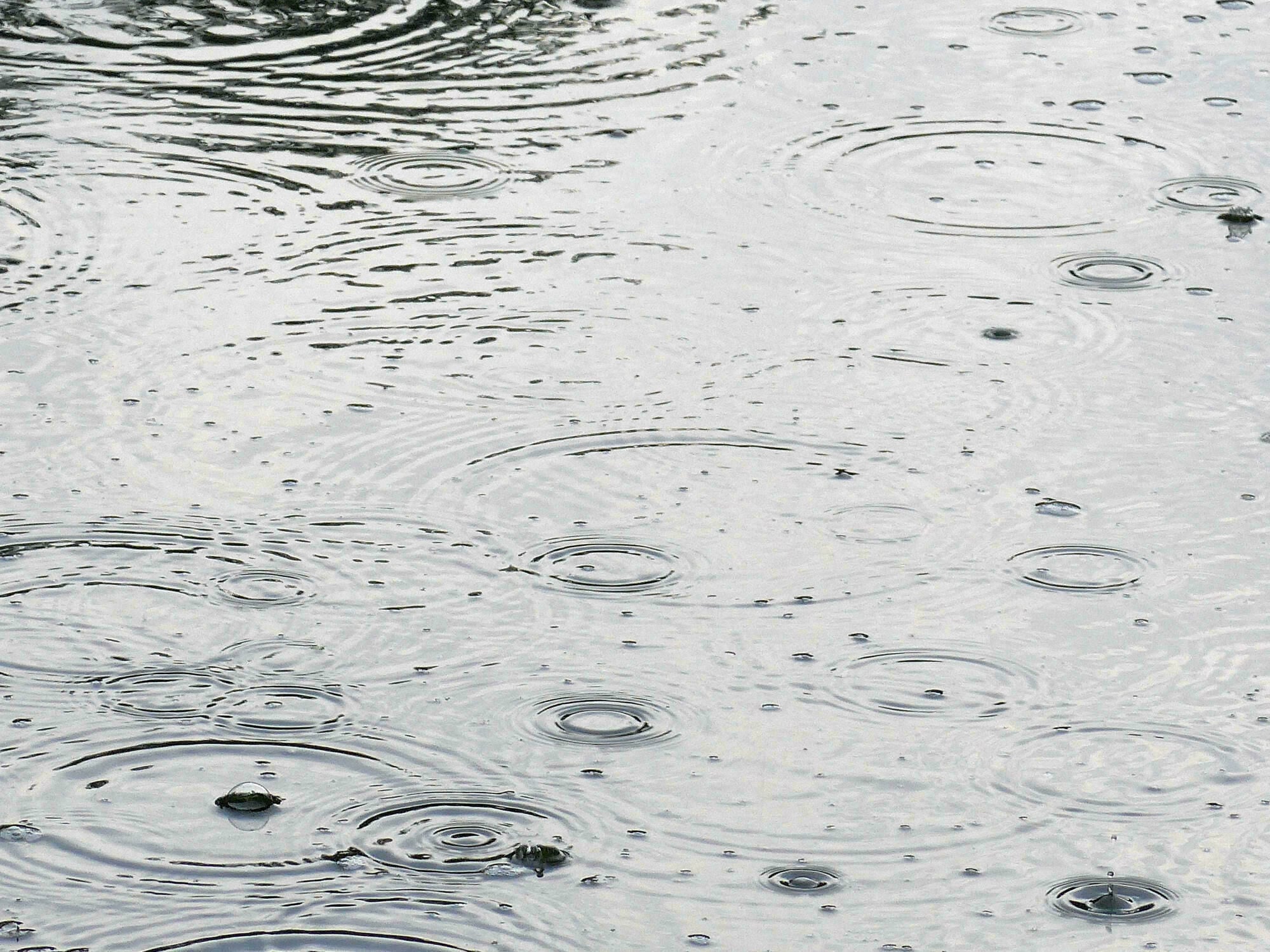 Fast die Hälfte des täglichen Trinkwasserverbrauches kann durch Regenwasser ersetzt werden.