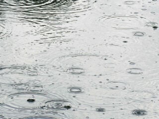 Fast die Hälfte des täglichen Trinkwasserverbrauches kann durch Regenwasser ersetzt werden.