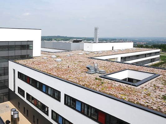 Dachbegrünung des Klinikums Kirchheim-Nürtingen mit Sedumarten