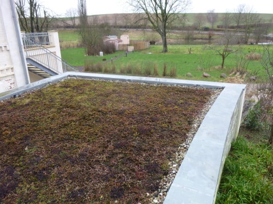 Nachträglich begrüntes Flachdach