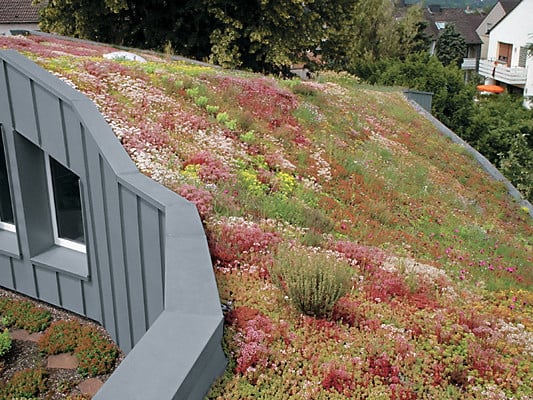 Metalldächer mit Begrünung | Flachdach | Gründächer | Baunetz_Wissen