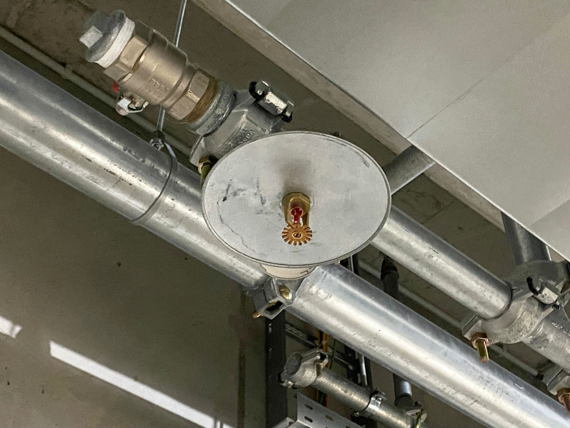 Wird ein Sprinkler durch Platzen des Glasfässchens ausgelöst, prallt Löschwasser auf den Sprühteller
